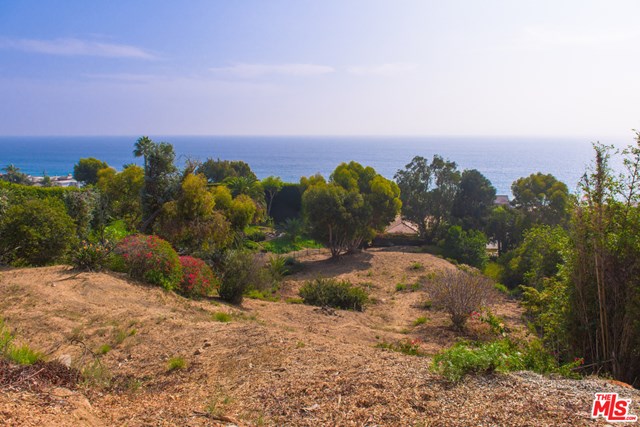 Backyard in a $2,450,000 Malibu home for sale
